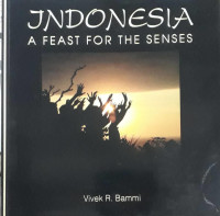 Indonesia: A feast for the senses