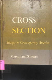 Cross Section : essays on contemporary America