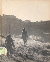 Image of The Italian Campaign