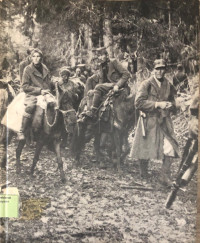 Image of Partisans and Guerrillas