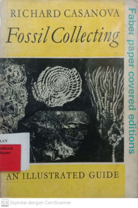 Fossil Collecting: An Illustrated Guide